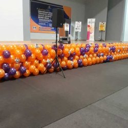 Balloon Walls